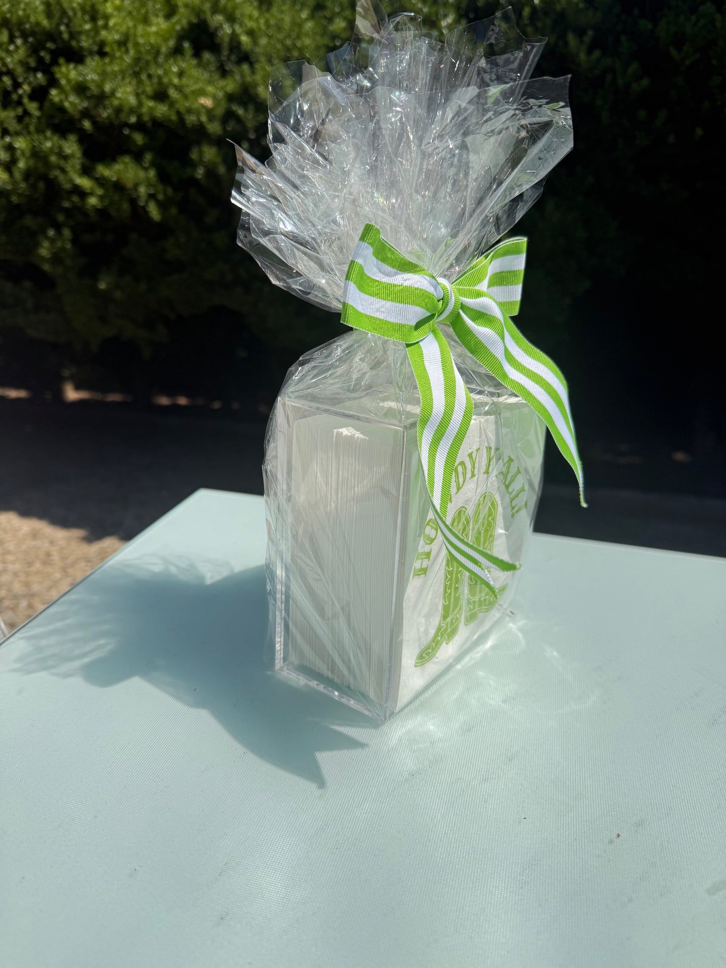 Howdy Y’all Napkins & Acrylic Holder