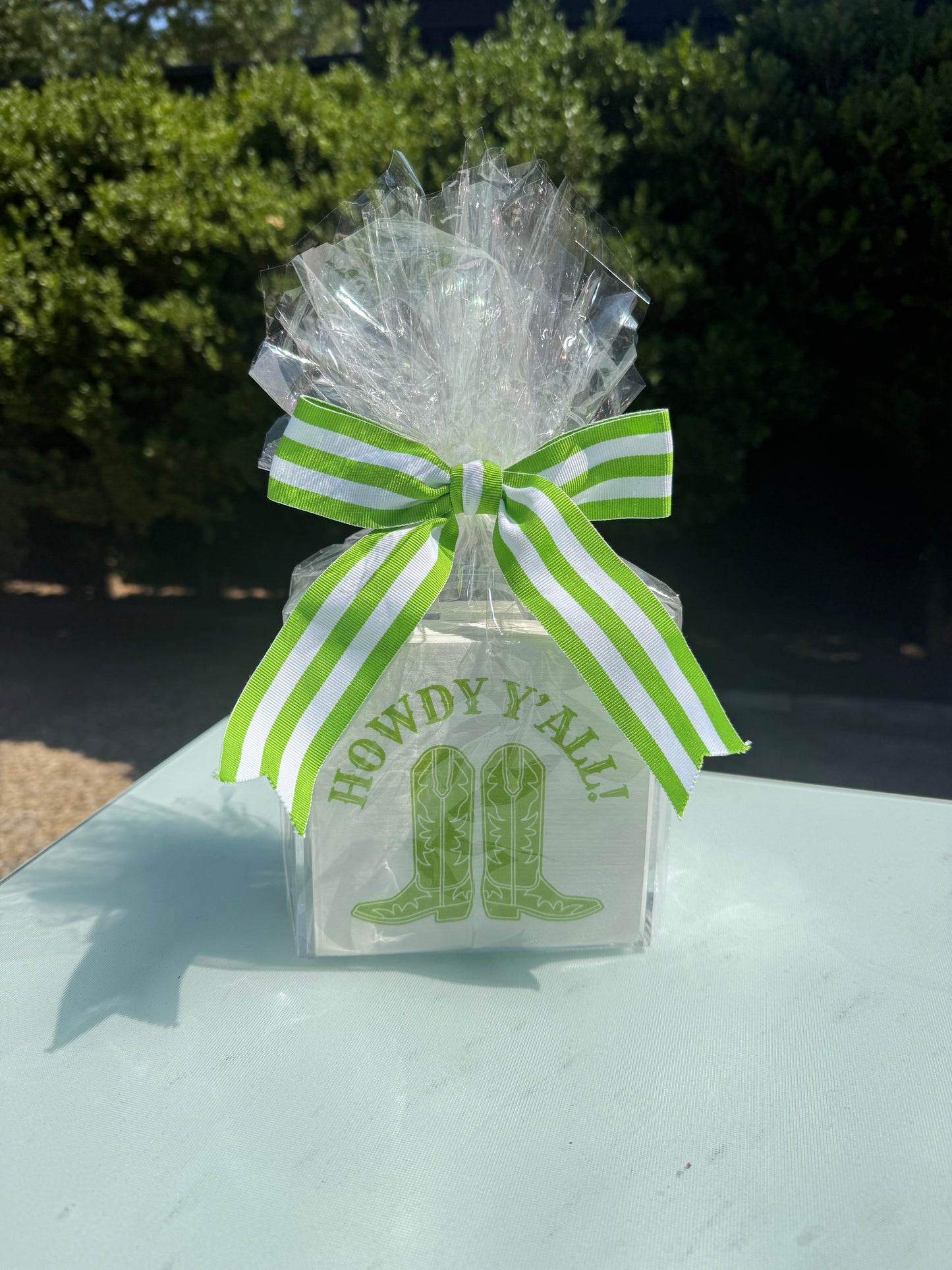 Howdy Y’all Napkins & Acrylic Holder