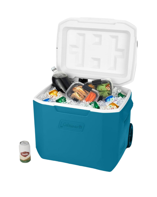 Large Cooler RENTAL