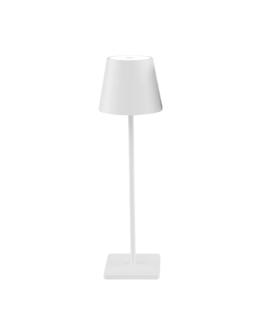 Rechargeable Cordless Lamp RENTAL